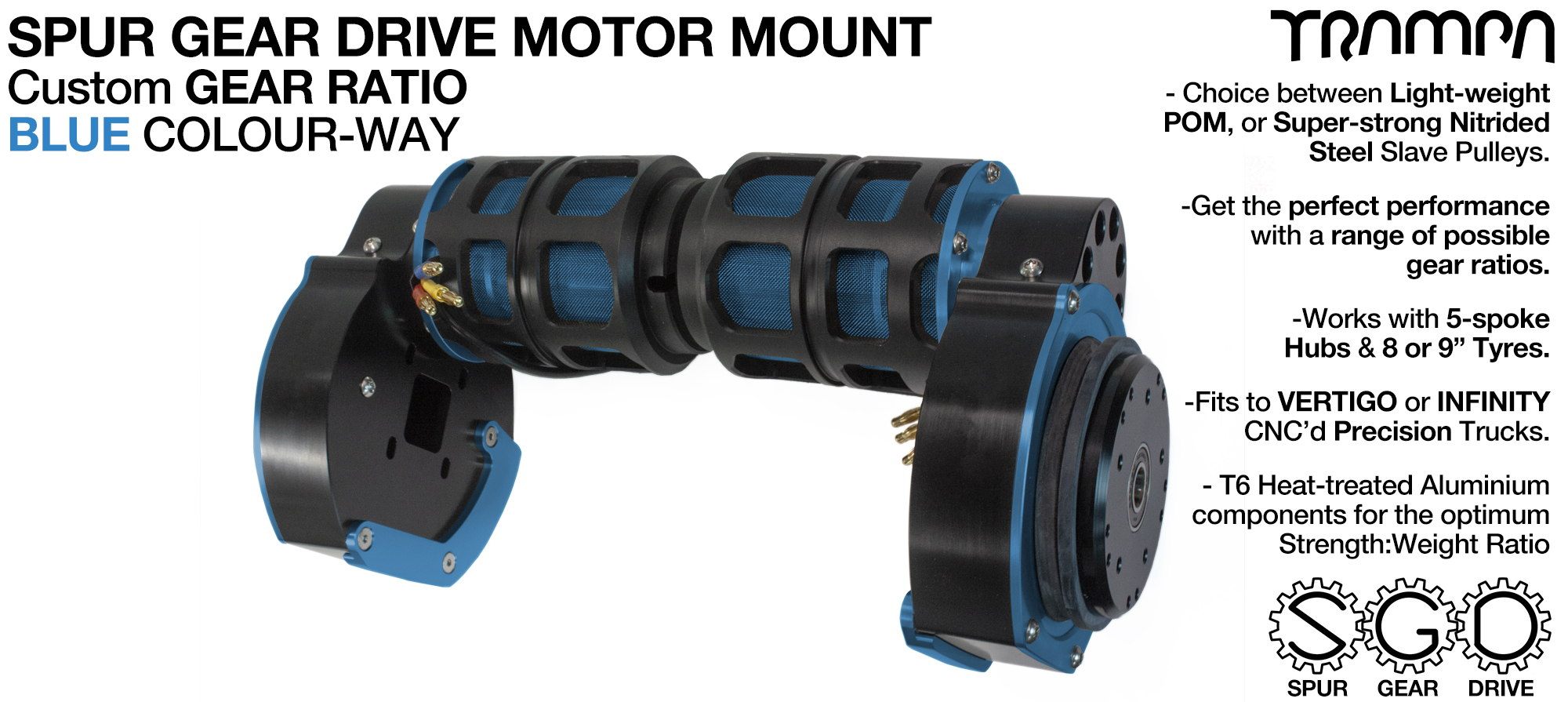 Mountainboard Spur Gear Drive TWIN Motor Mount with PULLEYS & FILTERSt - BLUE