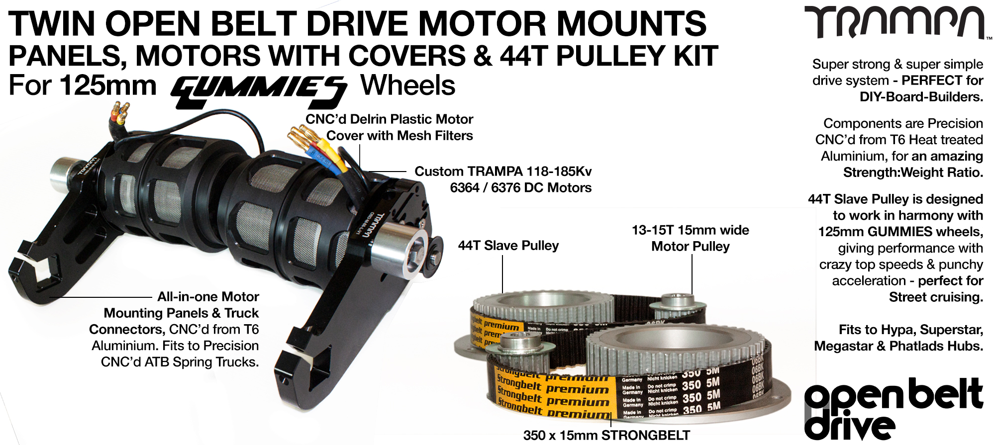 66T OBD Motor Mount with 44T Pulley kit, Motor & Filters  - TWIN