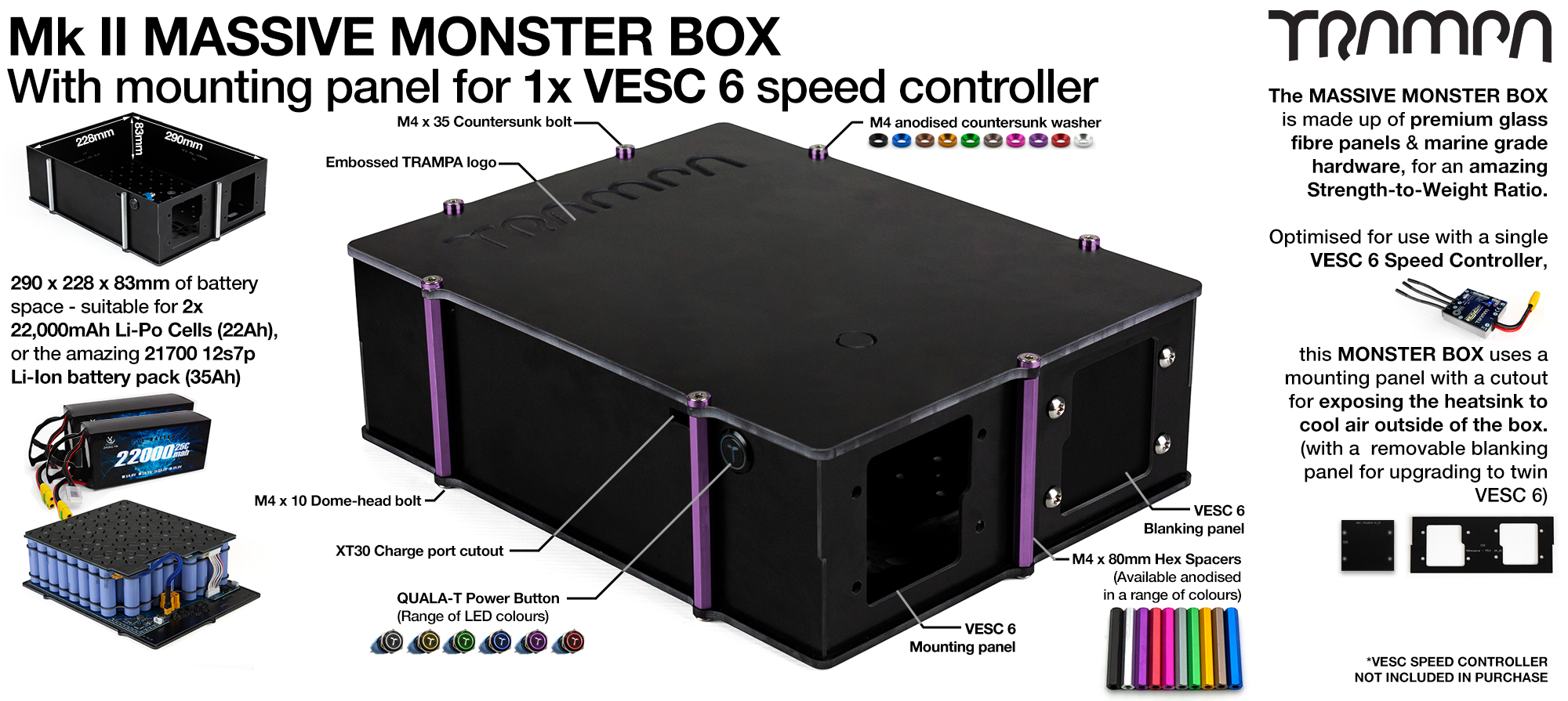 21700 2WD MASSIVE MONSTER Box with 1x VESC 6 Mounting Panel for 1WD