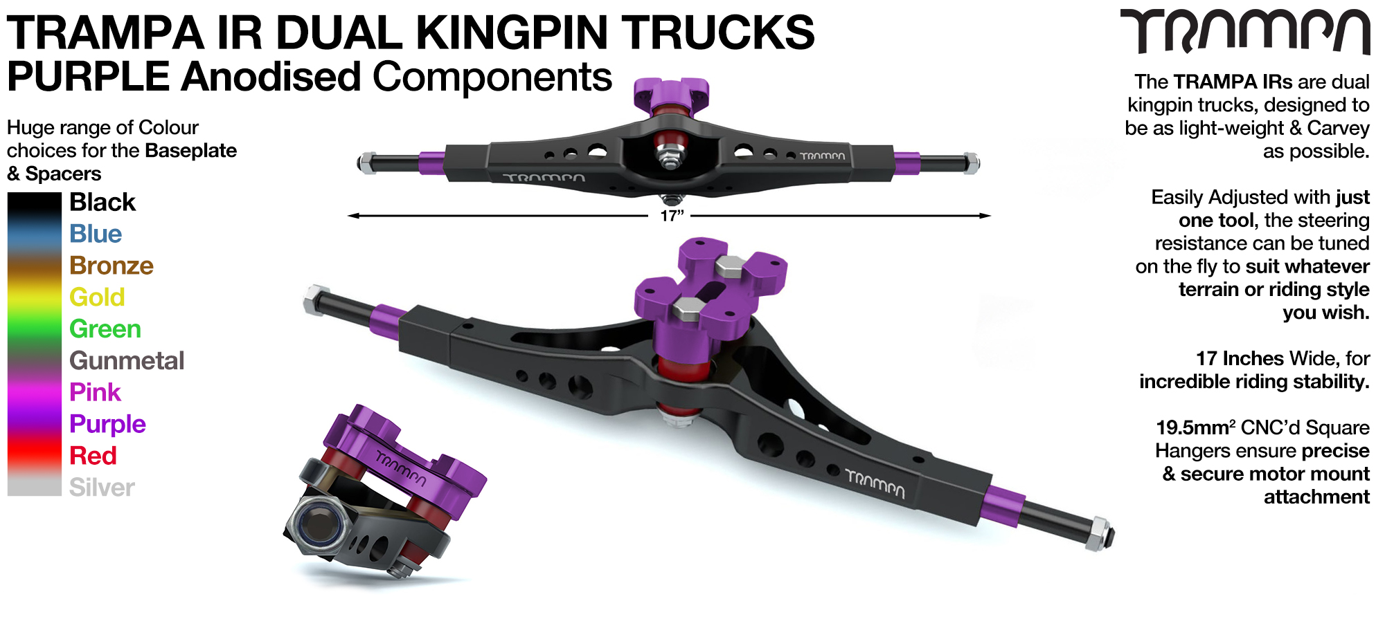 TRAMPA IR Double Kingpinned Skate Style Trucks fit every 19.1mm Motor Mount TRAMPA offers - PURPLE