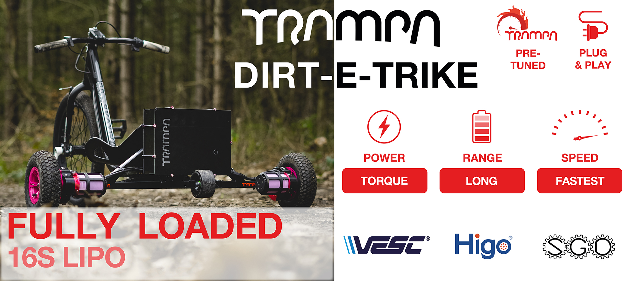 Dirt-E-Trike - 16s Li-Po LOADED Includes VESC 6/75 HiGo Cables, BMS & 16s 8Amp Charger