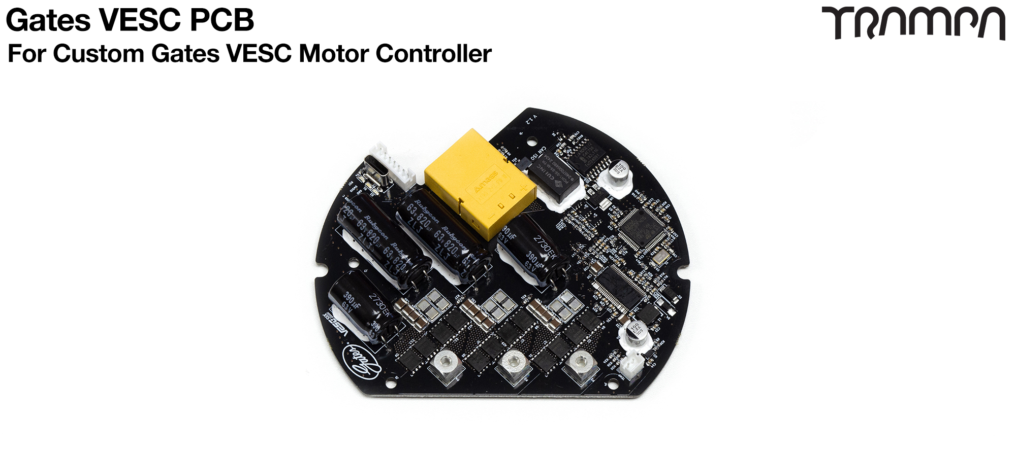 VESC GP 600 pcb 24/01/2025