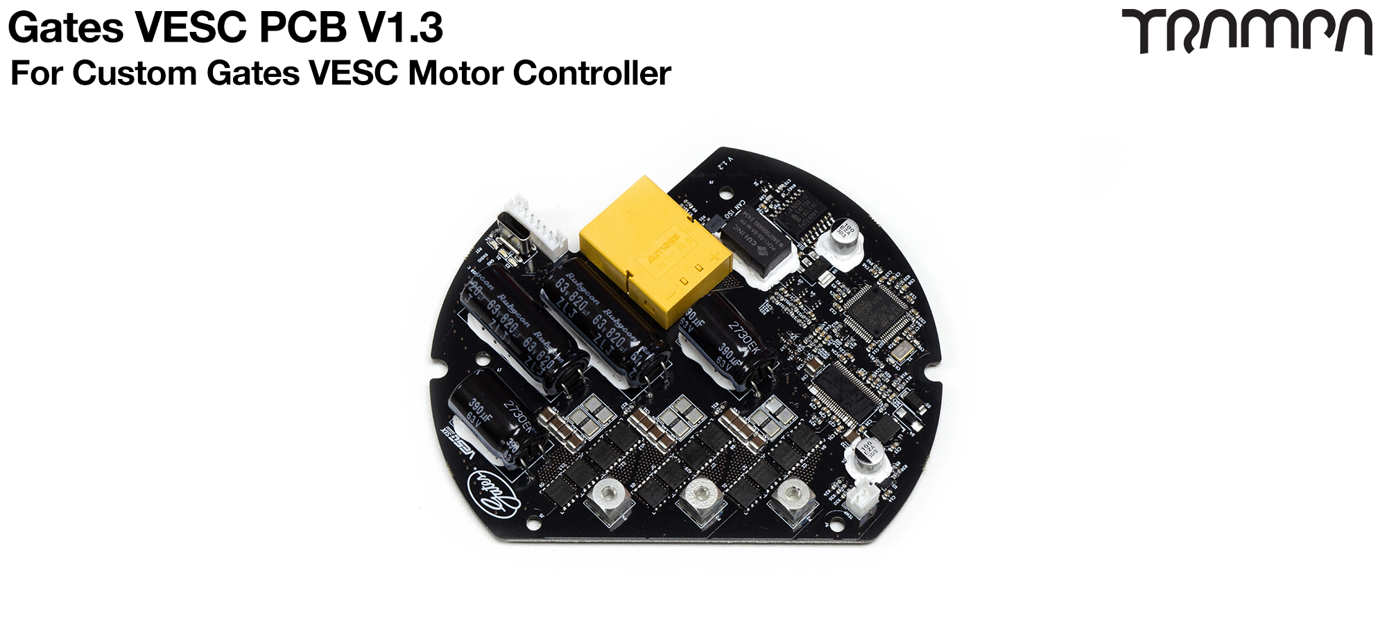 VESC GP PCB price for 2100 Units inc conformal coating - Tioga V1.3