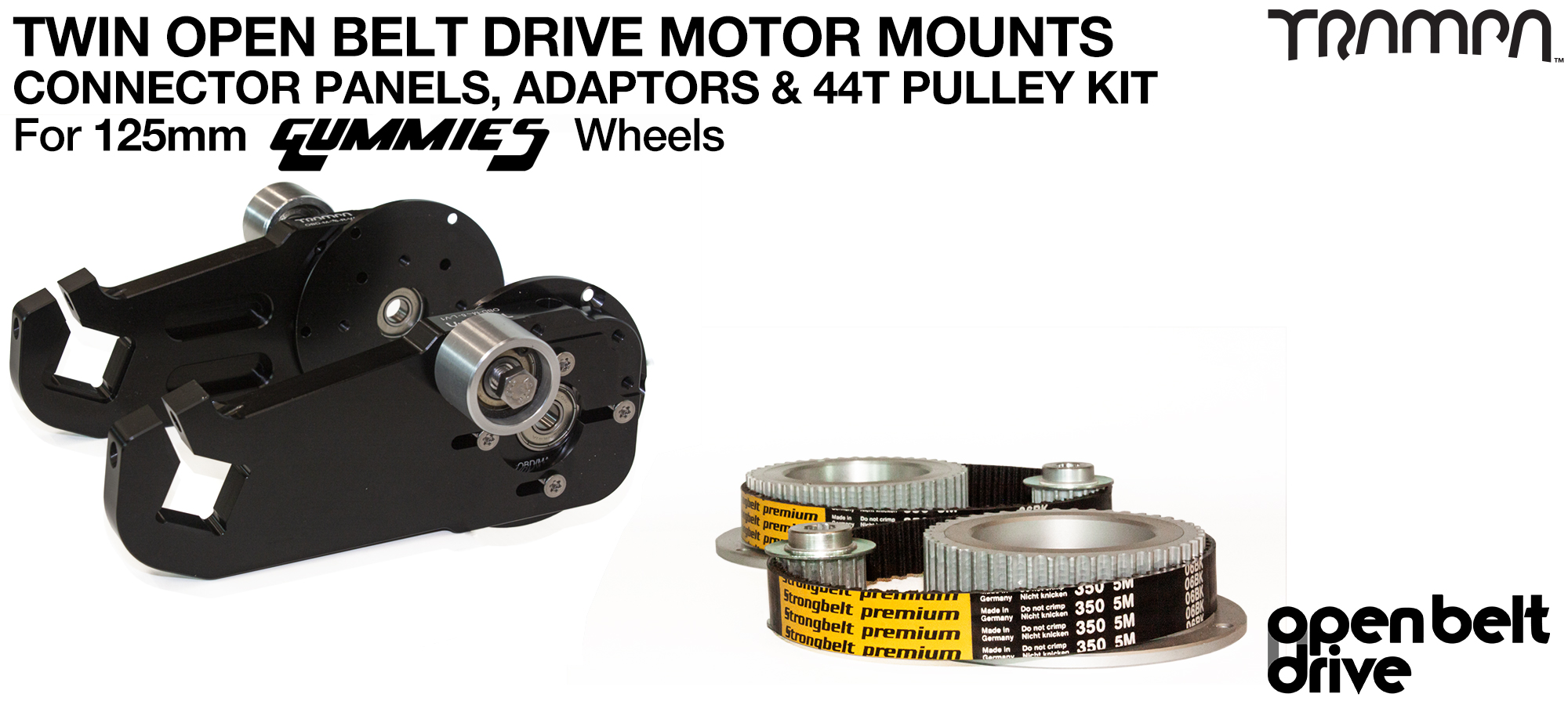 66T OBD Motor Mount & 44 tooth Pulley - TWIN