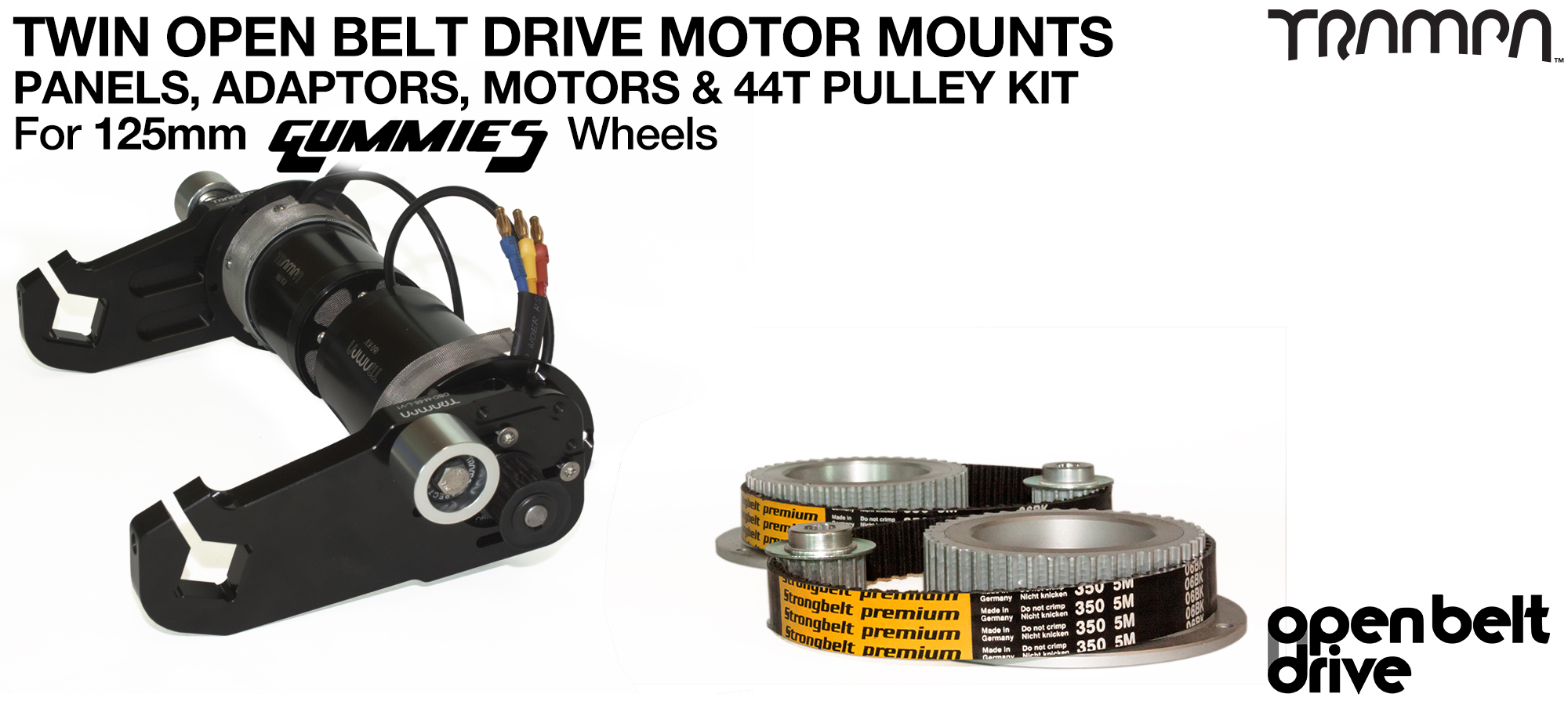 66T OBD Motor Mount with 44T Pulley kit & custom Motor - TWIN