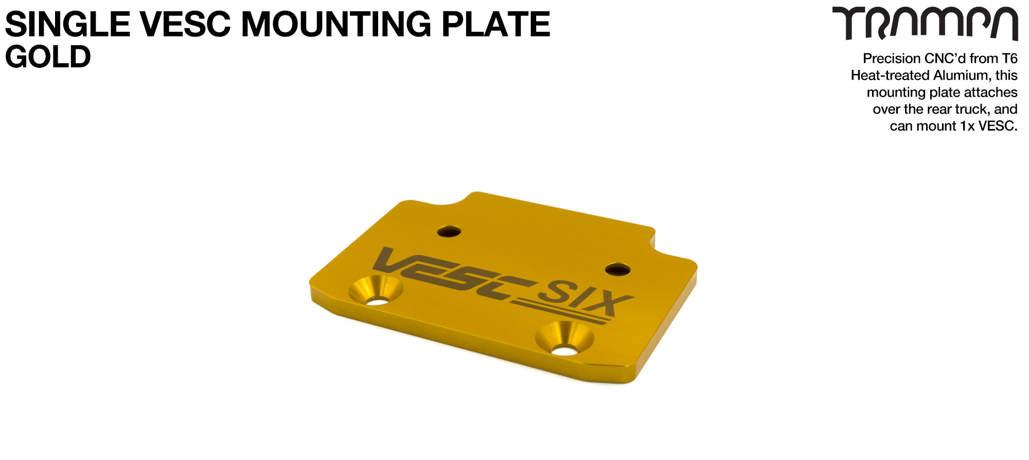 ALUMINIUM Mounting Plate for 1x VESC 6 & Fixing Bolts - GOLD 