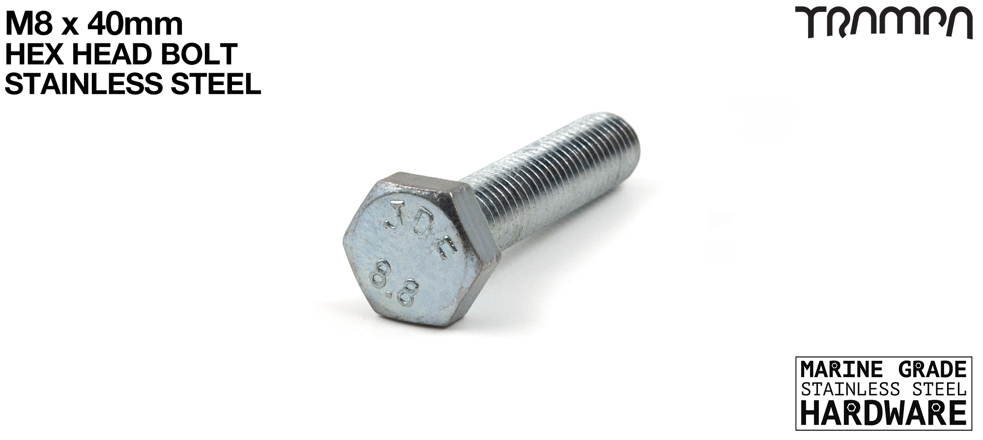 M8 x 40 H/T SET Screw Stainless Steel